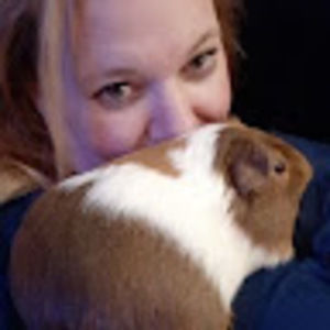 Meet your Posher, Robin